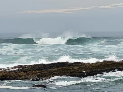 Oregon Coast - Photo 2