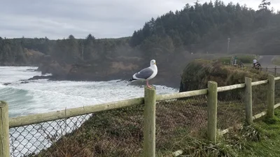 Oregon Coast - Photo 4