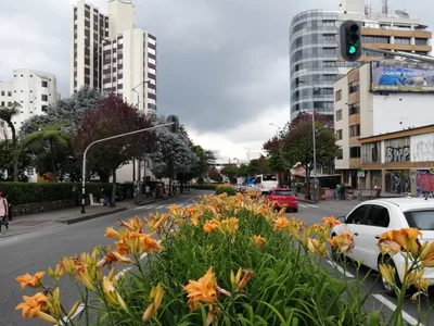 Manizales - Photo 2