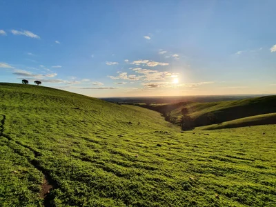 Barossa Valley - Photo 2