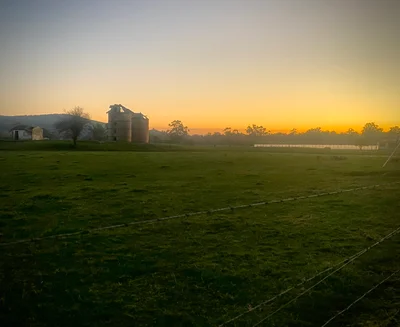 Yarra Valley - Photo 2