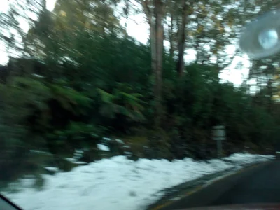 Yarra Valley - Photo 4