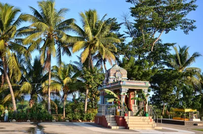 Nadi - Photo 5