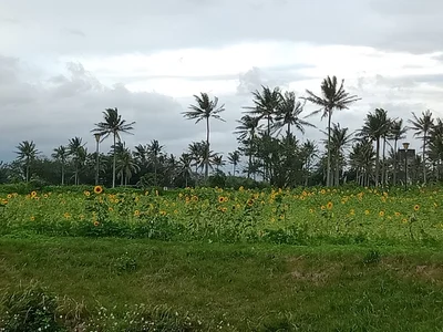 Hualien City - Photo 2