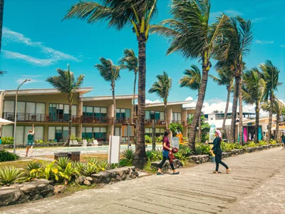 Baler - Photo 4