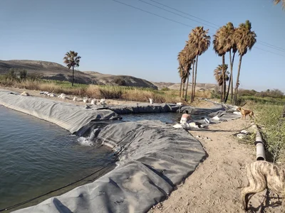 Nazca - Photo 2
