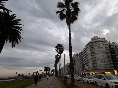 Punta Carretas - Photo 3