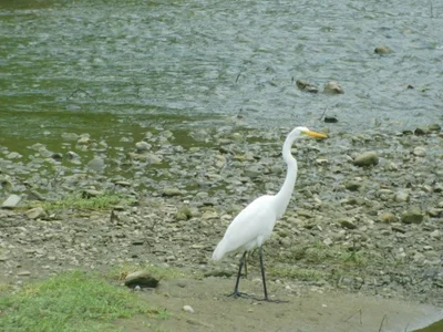 Ayampe - Photo 2