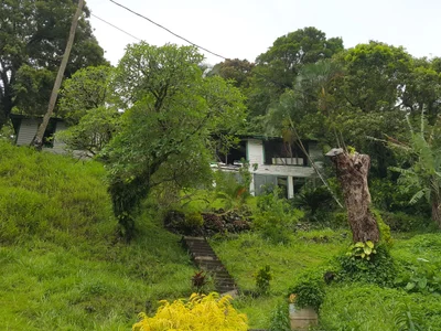 Pago Pago - Photo 2