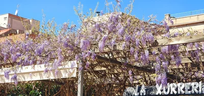 Viladecans - Photo 3