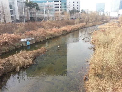 Anyang-si - Photo 3