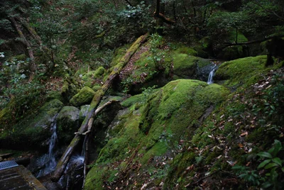 Kumage-gun - Photo 2