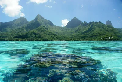 Moorea - Photo 3