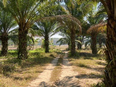 Chiang Saen district - Photo 5