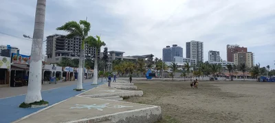 Manta - Photo 5