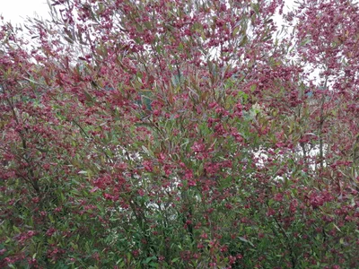 Motueka - Photo 2