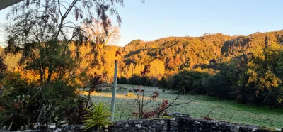 Motueka - Photo 4