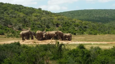 Greater Addo - Photo 4
