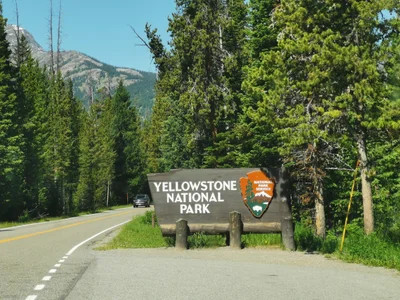Yellowstone National Park - Photo 3