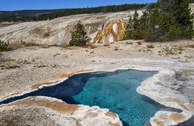 Yellowstone National Park - Photo 4