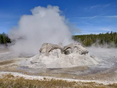 Yellowstone National Park - Photo 5