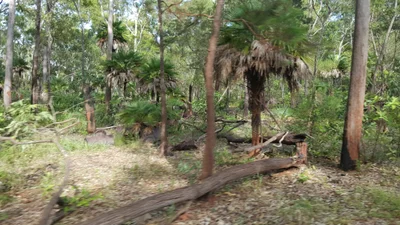 Somerset - Photo 2