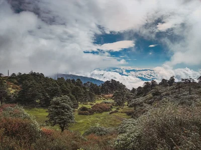 Singalila National Park - Photo 2