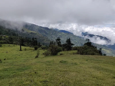 Singalila National Park - Photo 3