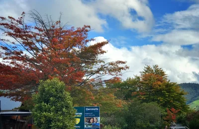 Turangi - Photo 5