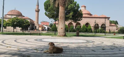 Bursa - Photo 4