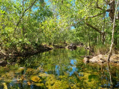 Litchfield National Park - Photo 4
