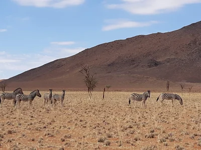 NamibRand Nature Reserve - Photo 2