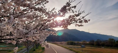 Kameoka - Photo 4