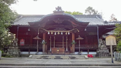 Muko - Photo 2