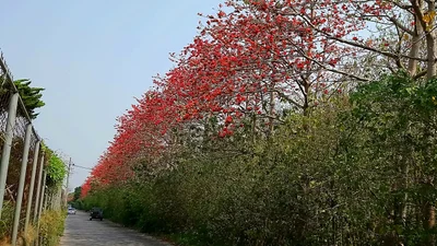 Beidou Township - Photo 3