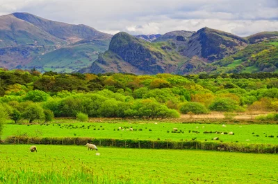 North Wales - Photo 4