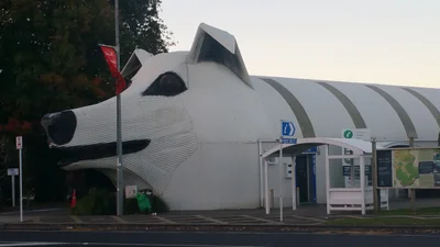 Tirau - Photo 4