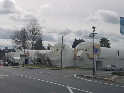 Tirau - Photo 5