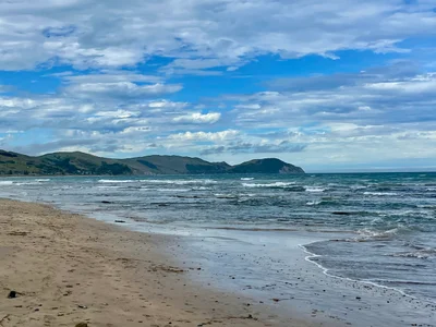 Gisborne - Photo 4