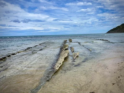 Gisborne - Photo 5