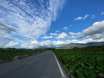 Gaoshu - Photo 2