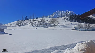 Kalam - Photo 3