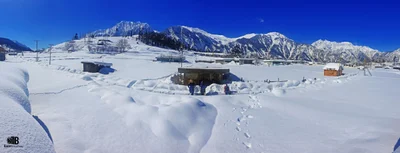 Kalam - Photo 4