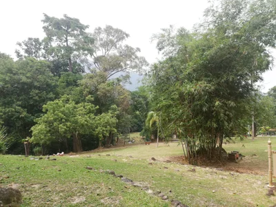 Merbok - Photo 3