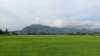Merbok - Photo 5