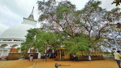 Kalutara - Photo 4