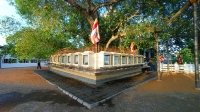 Kalutara - Photo 5