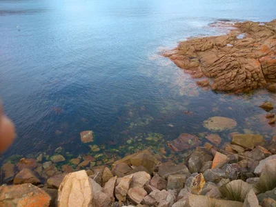 Glamorgan-Spring Bay - Photo 5