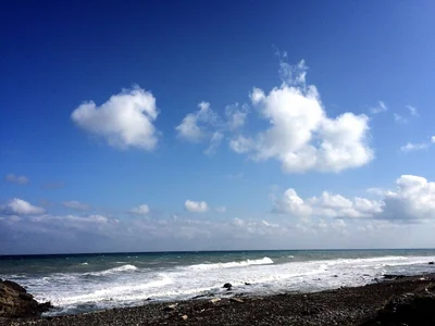 Mudan - Photo 5
