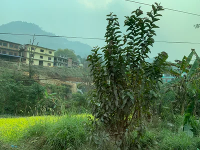 Gandaki Zone - Photo 3